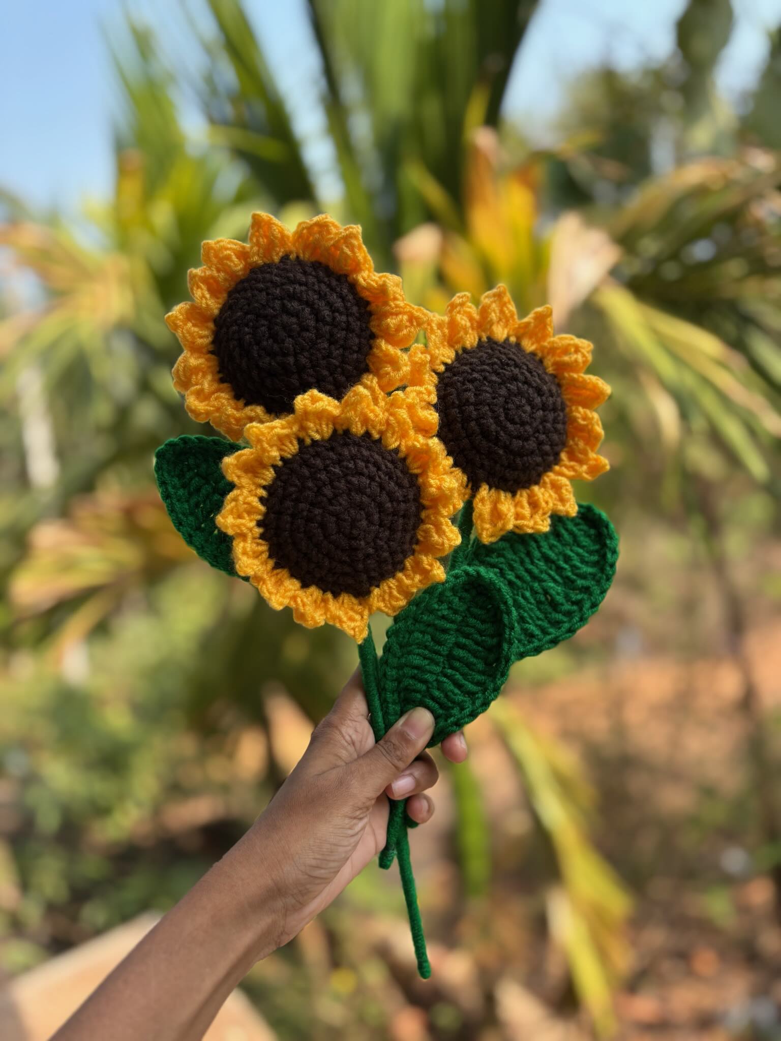 Sunflowers