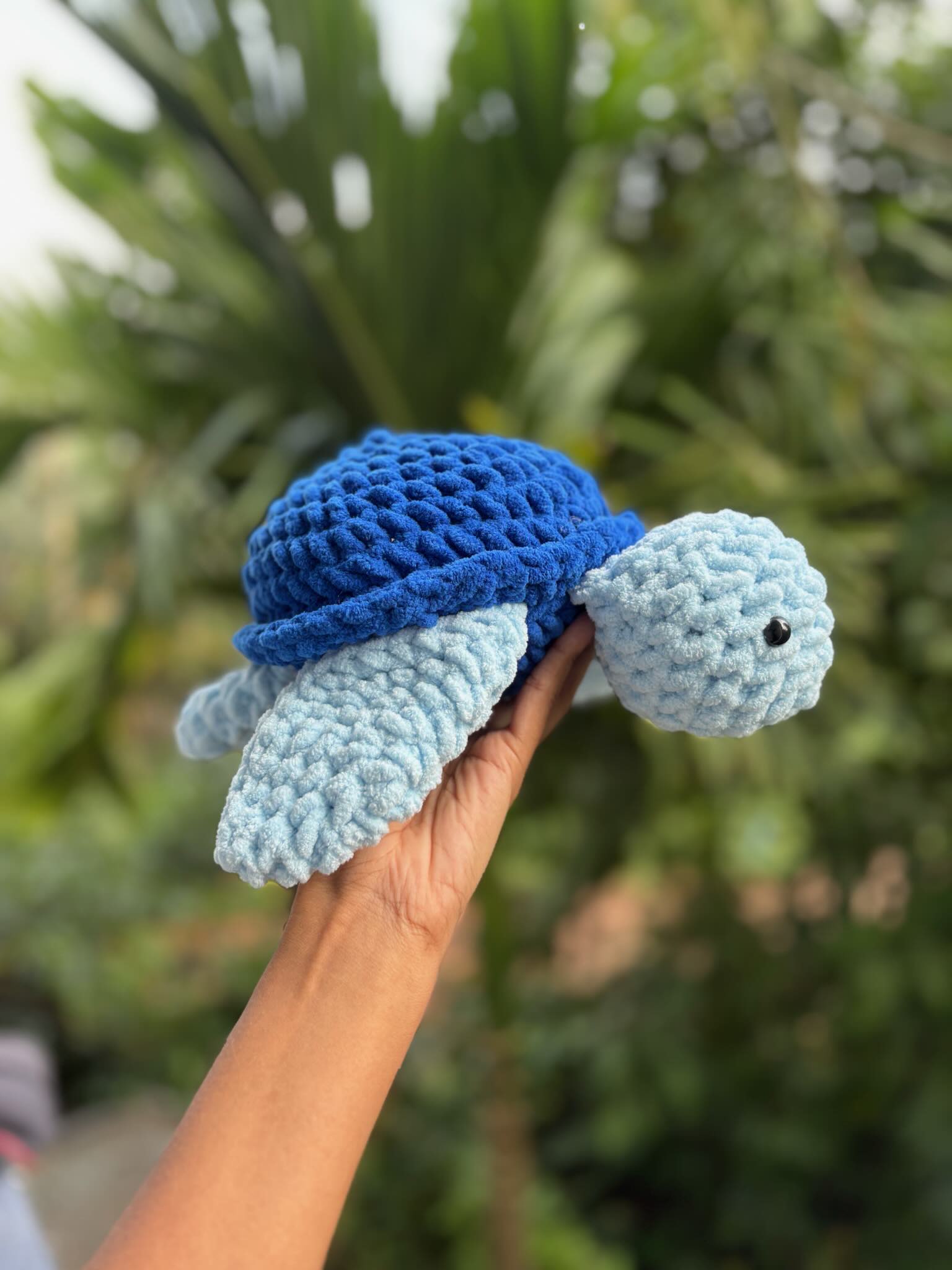 Tito Turtle